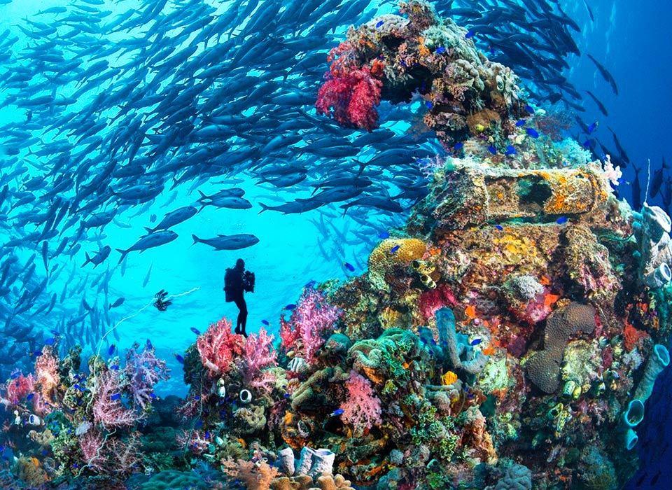 French Polynesia private diving luxury yacht tour