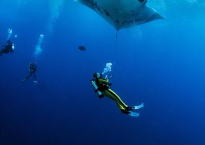 scuba diving Diver with Manta Ray