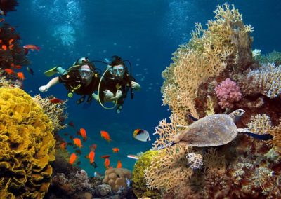 scuba diving among coral and fish in the ocean