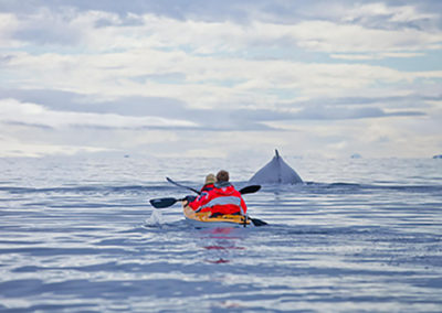 suri-yacht-charter-sea-adventure-kayak-whale-watching