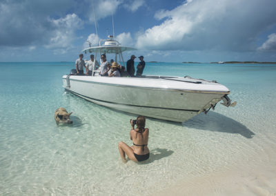 suri-yacht-charter-sea-adventure-swim-with-the-pigs