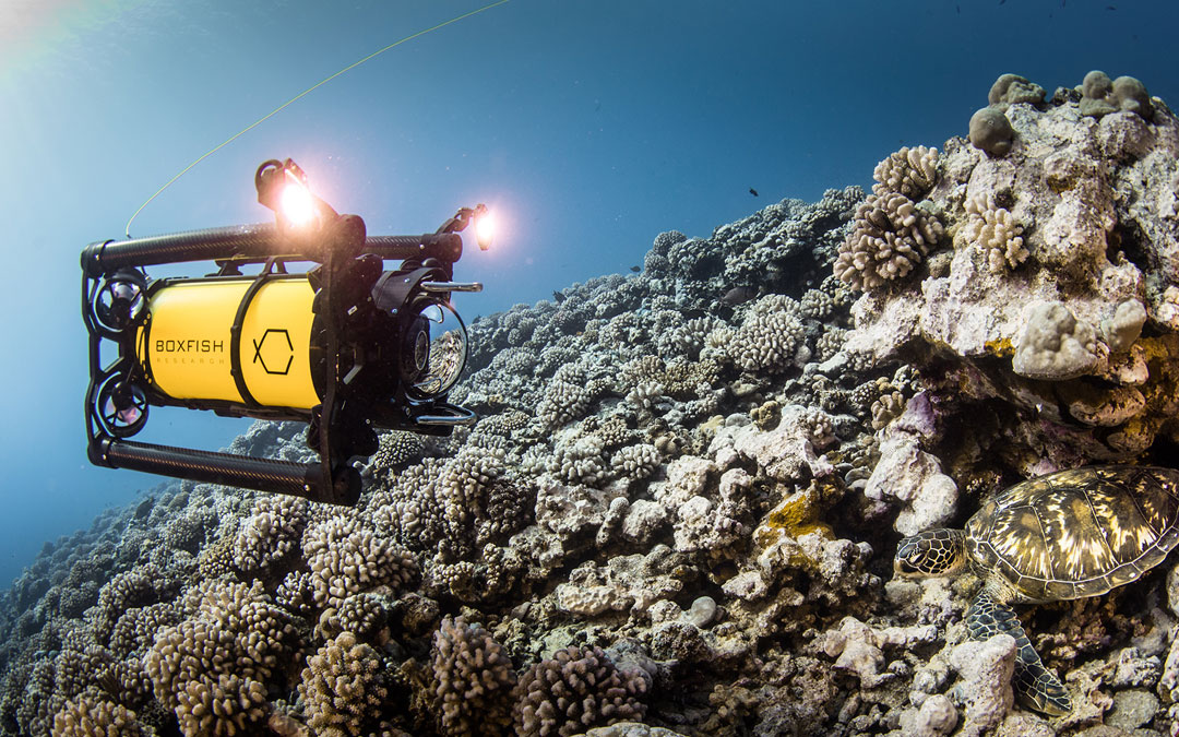 SuRi’s New ROV Takes Underwater Exploration to New Depths